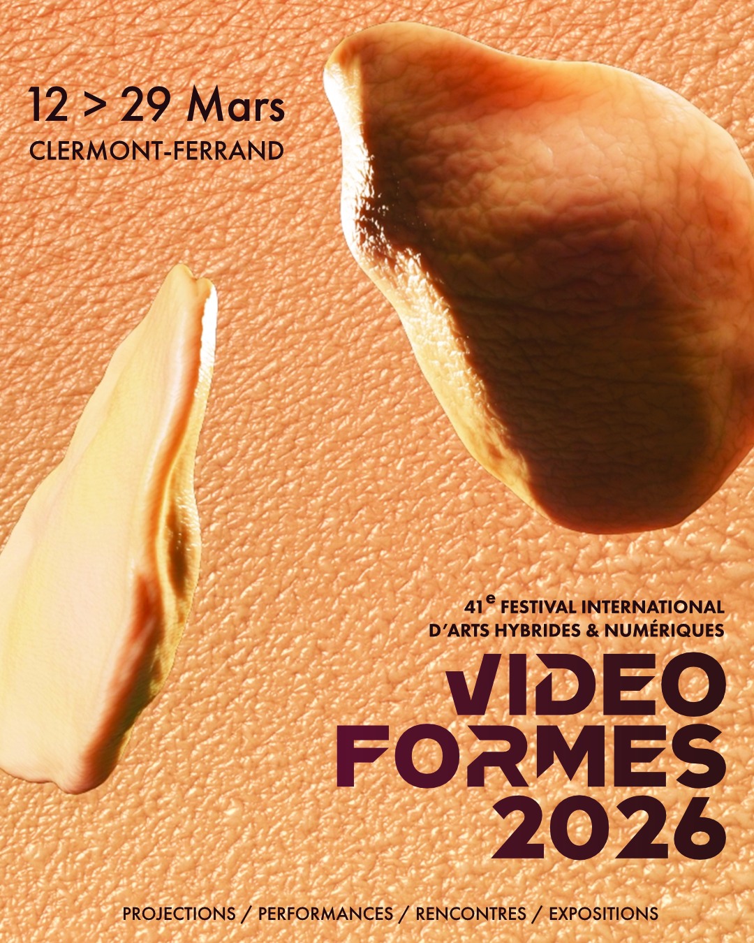 Festival Videoformes